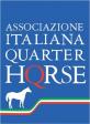 American Quarte Horse Association