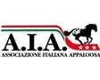 Associazione Italiana Appaloosa